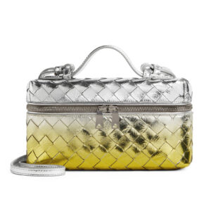Bottega Veneta Bang Bang Vanity Case 789109 Silver