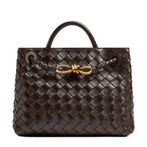 Bottega Veneta Small Andiamo Dark Coffee