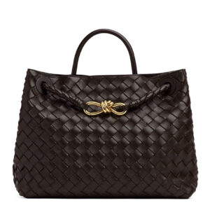 Bottega Veneta Medium Andiamo Dark Coffee