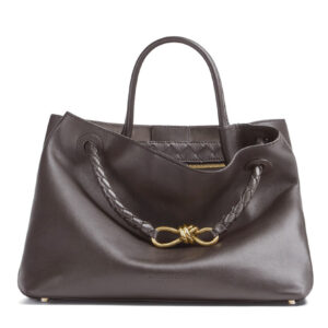 Bottega Veneta Medium Andiamo Dark Coffee