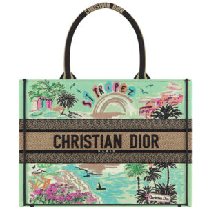 Christian Dior Souvenir Medium Dior Book Tote Green