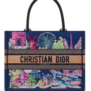 Christian Dior Book Tote Bag Blue