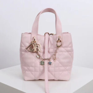 Christian Dior Small Dior Toujours Vertical Handbag Pink