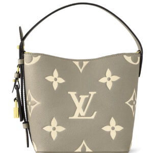 Louis Vuitton All In BB M13045 Gray