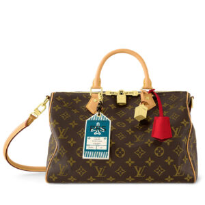 Louis Vuitton Speedy Soft 30 Crafty M11945 Brown