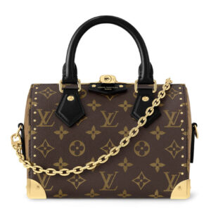 Louis Vuitton Speedy Trunk 20 M13146 Brown