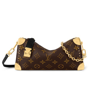 Louis Vuitton Slim trunk bag Brown