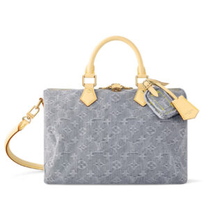 Louis Vuitton Speedy Soft 30 M13344 Gray