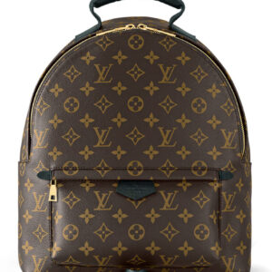 Louis Vuitton Palm Springs MM M44874 Brown